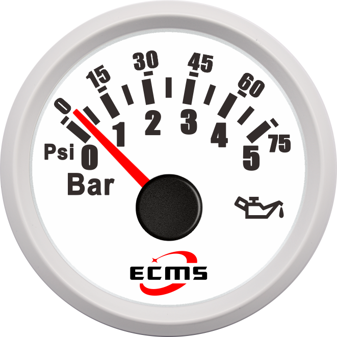 ECP/ECP2-5Bar壓力表