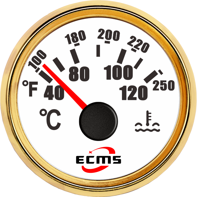 ECP/ECP2-水溫表