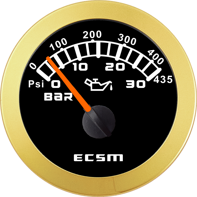 ECT-Pressure gauge  30Bar