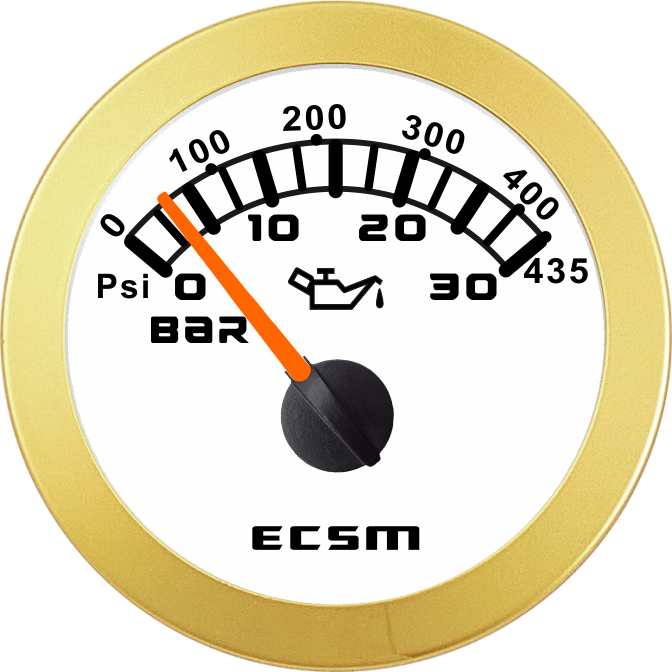 ECT-Pressure gauge  30Bar