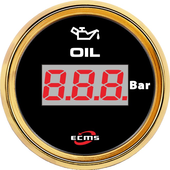 ECH-Digital pressure gauge